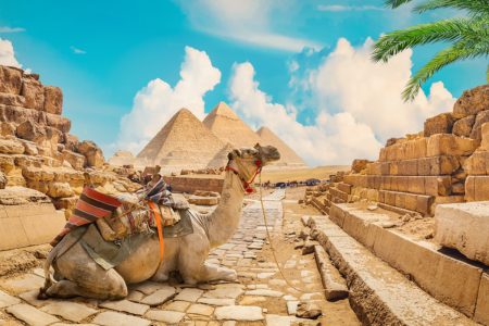 The 7 Best things to do in Egypt