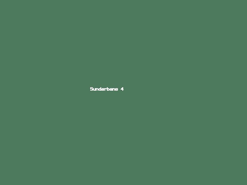 Sundarbans Mangrove Forest Day Tour — photo 4